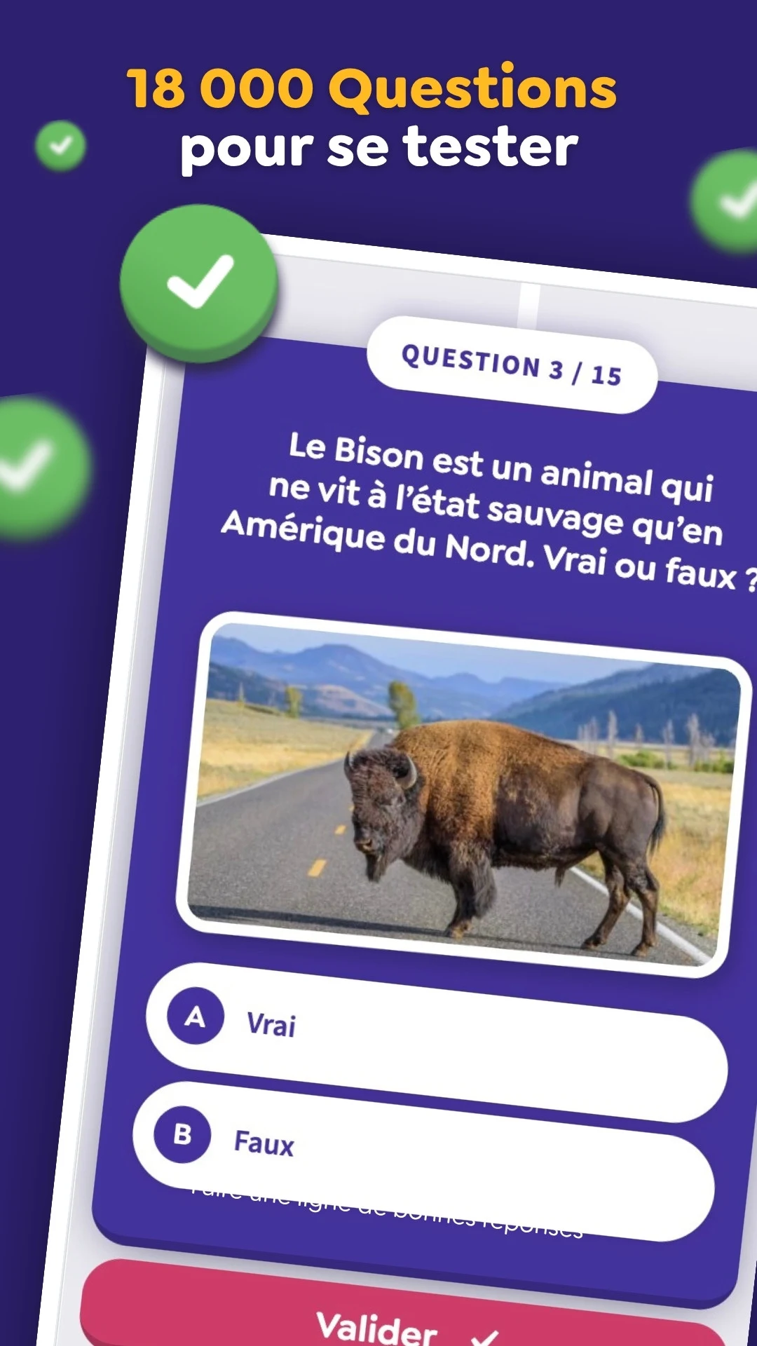 Culture Quizz screenshot